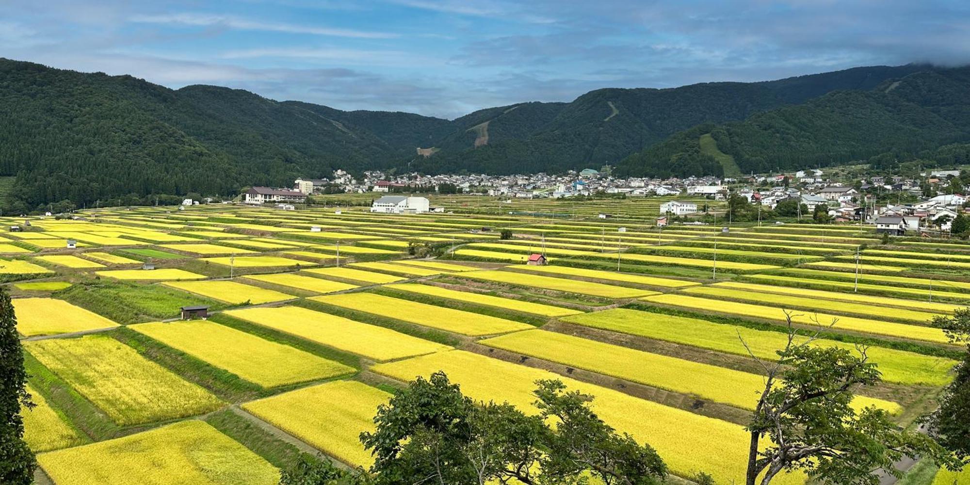 ホテル パール吉越 野沢温泉村 エクステリア 写真